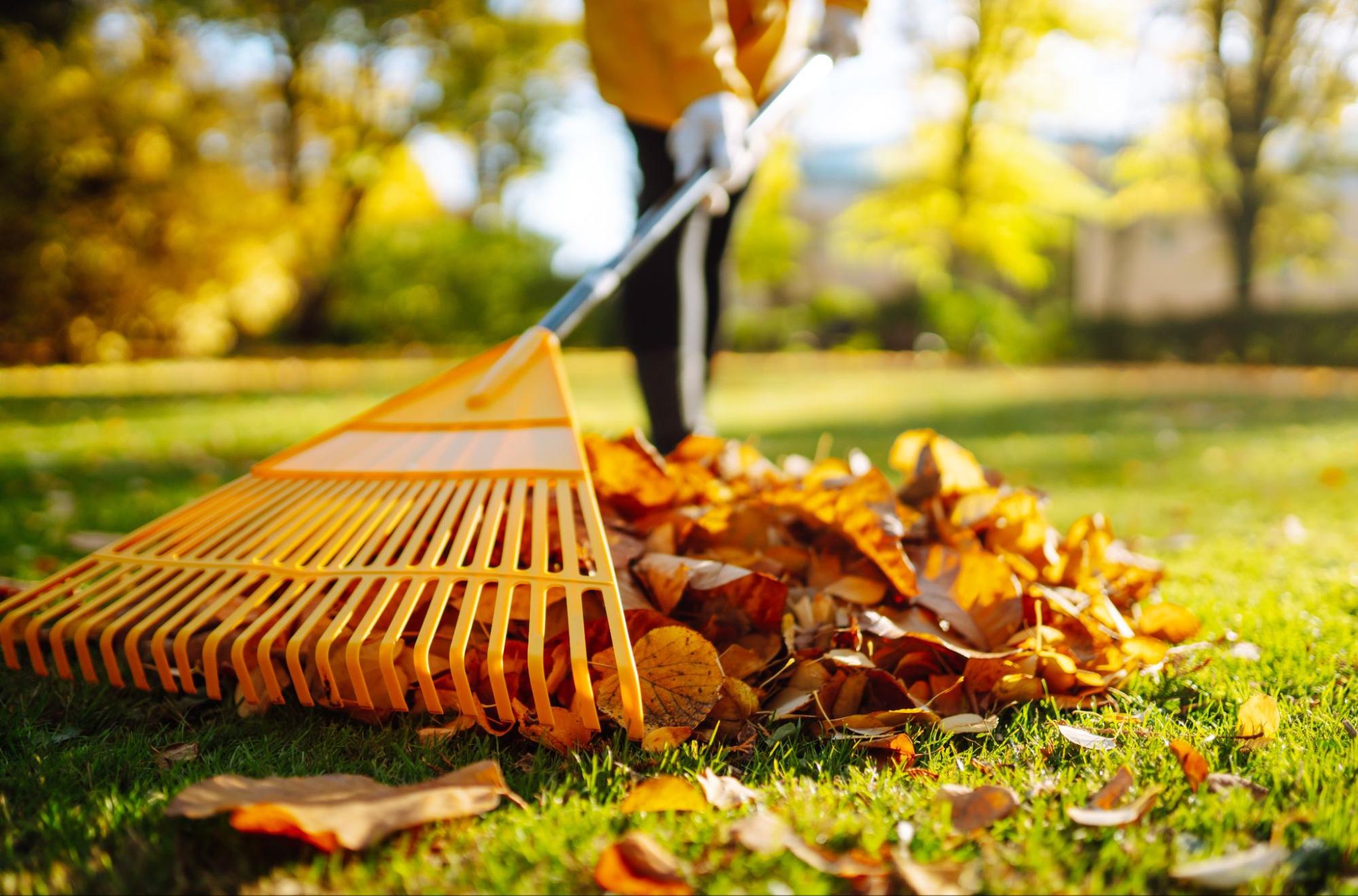 Fall Maintenance Tips for Your New Home
©maxbelchenko