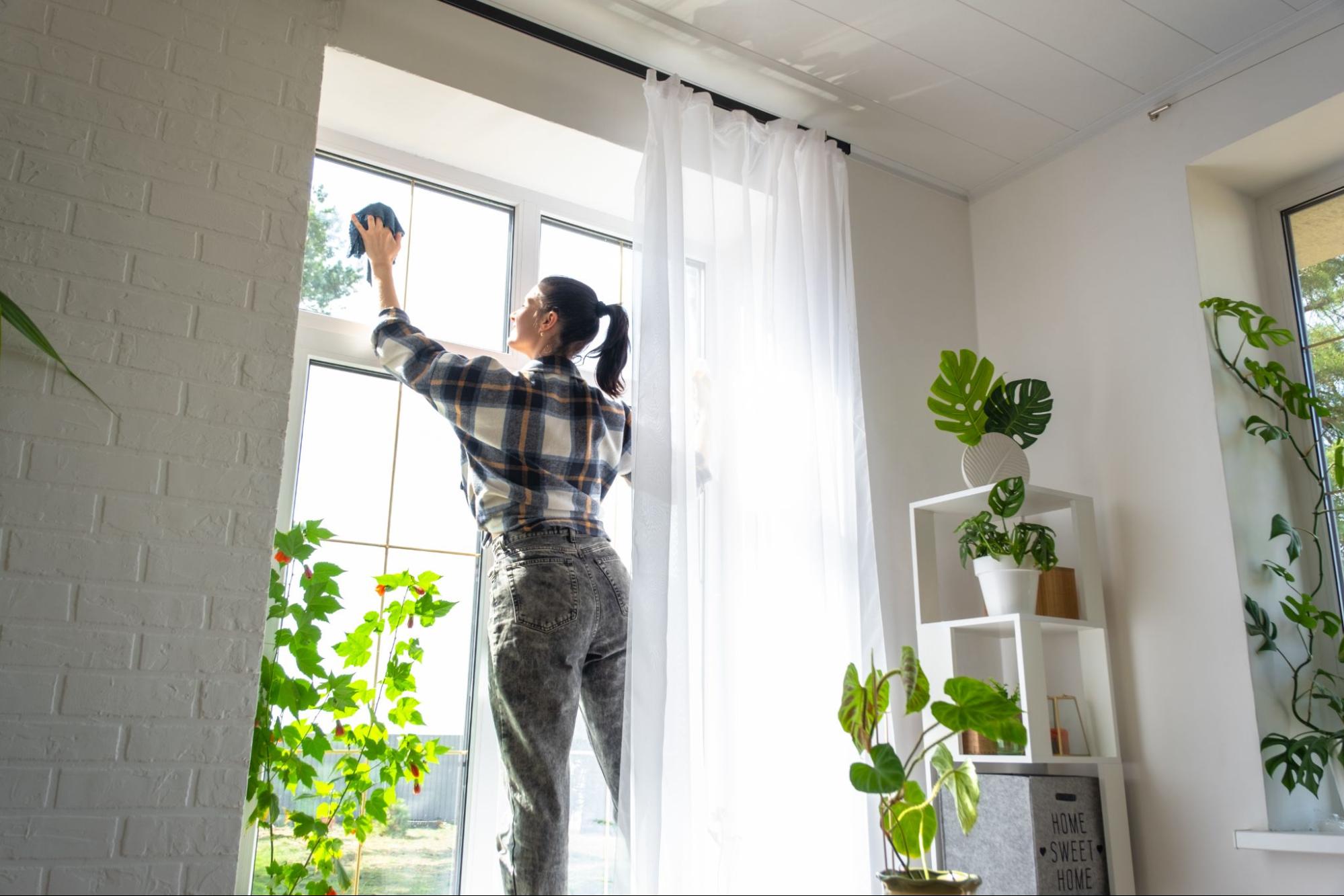 lady cleaning windows ©Simol1407