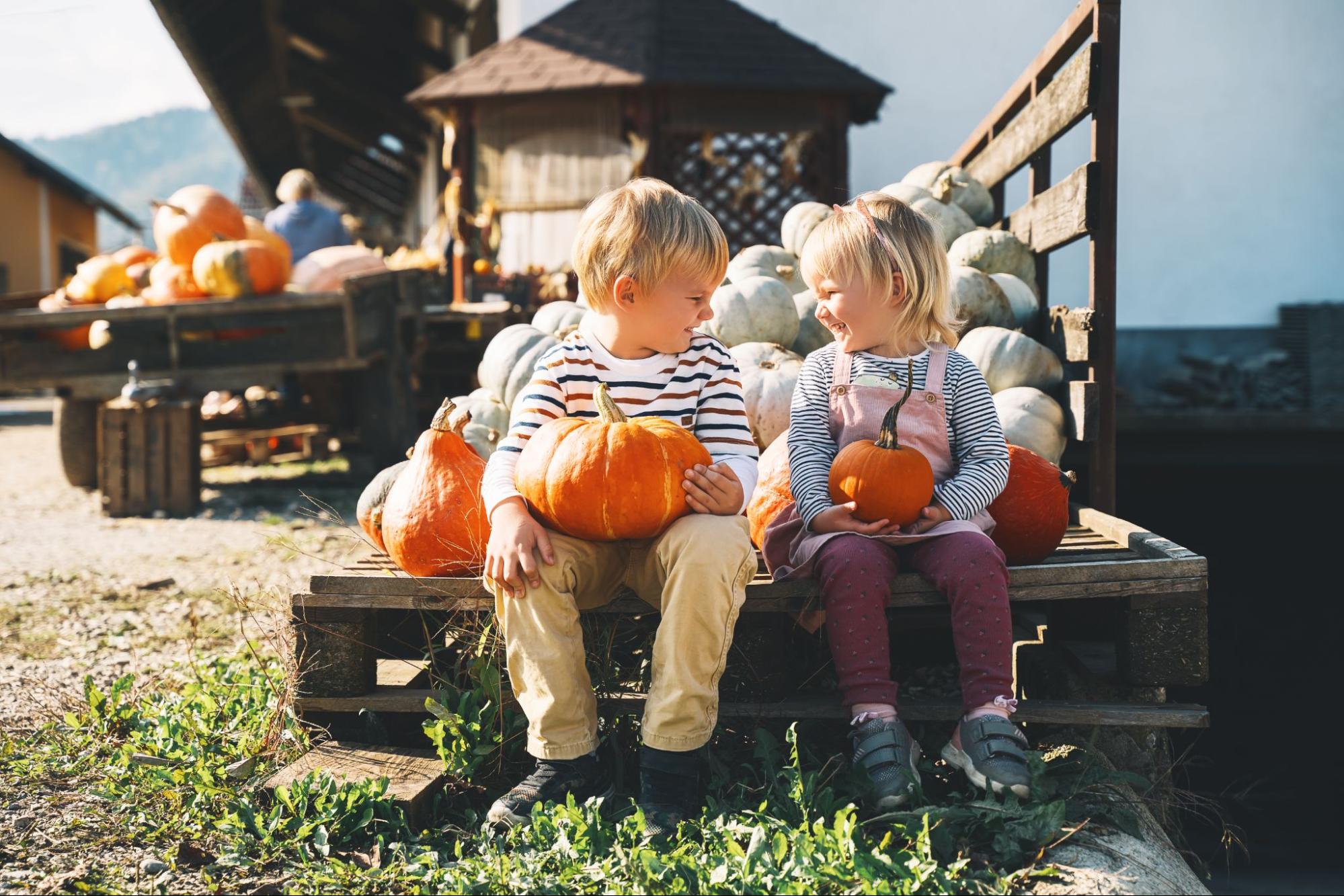 Family pumpkin phot shoot
©Natalia Deriabina